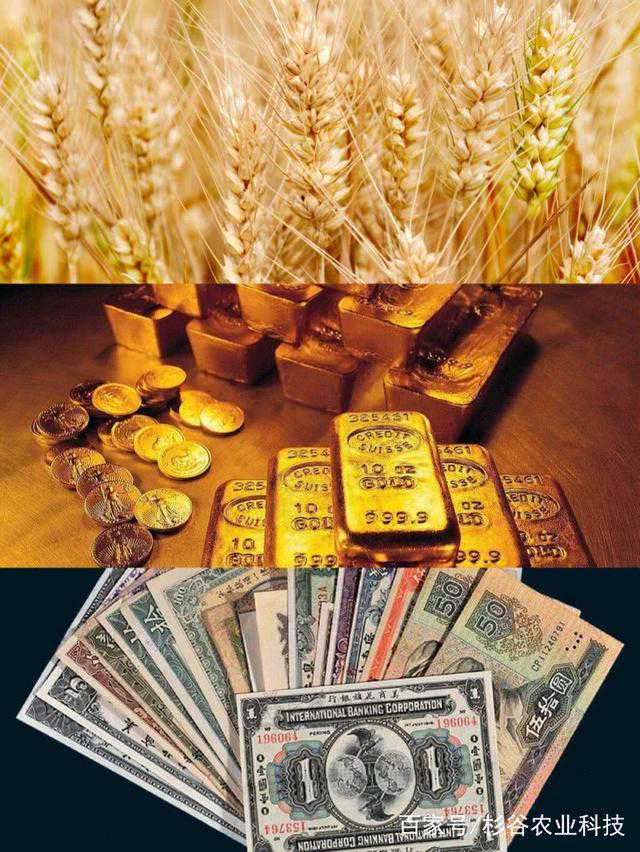 玉门市：探索移民乡镇脱贫致富新路子