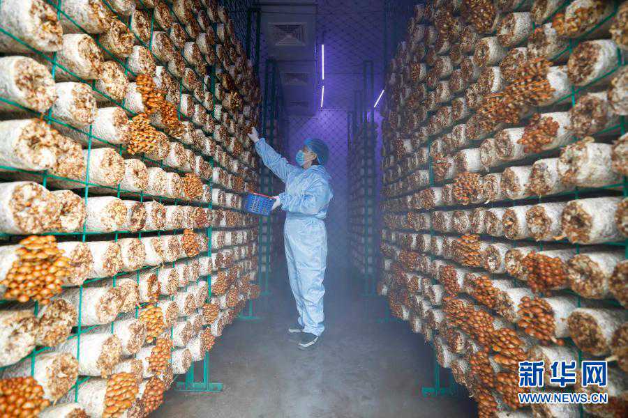 别跑错，这个社区搬家啦！