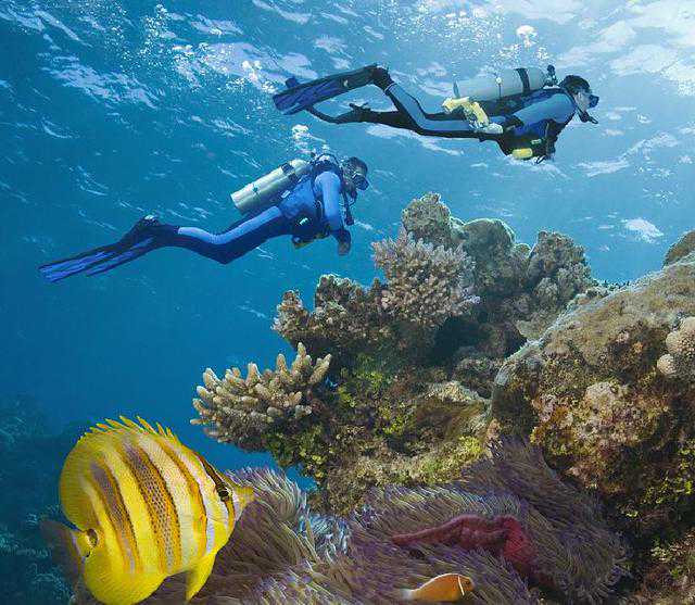 气候移民，是”神话”还是谎言？